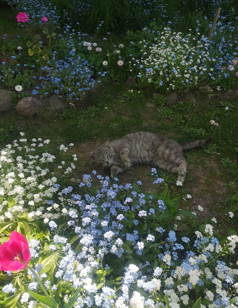 Photograph by Екатерина Борисовна Кузьмина