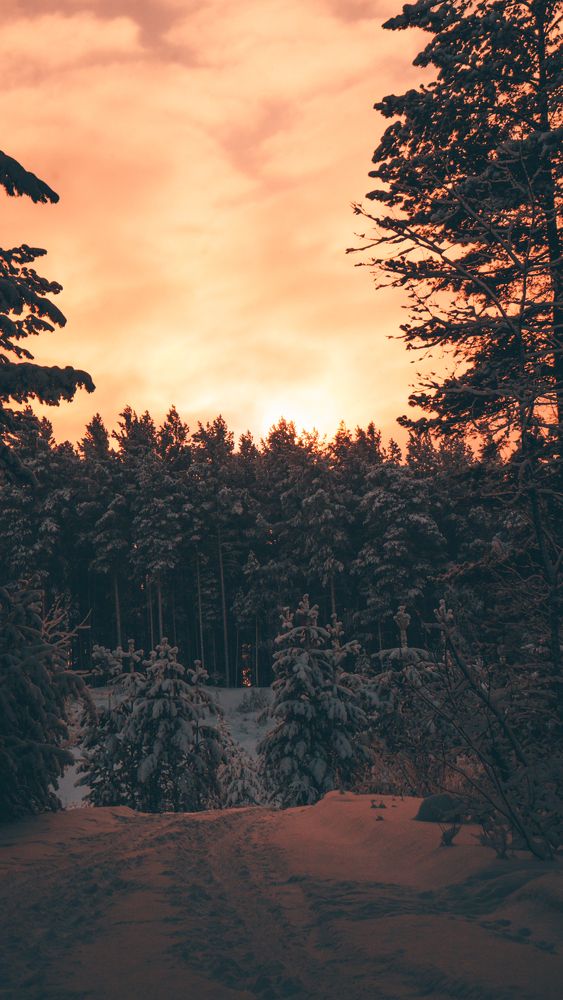 Photograph by Дмитрий Купцов