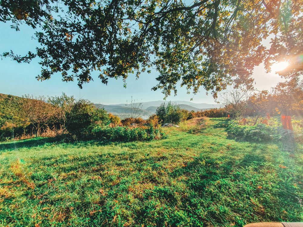 Фотография автора Belmin Becirspahic