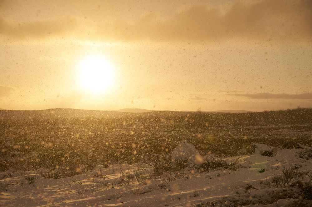 Фотография автора Макс Карпович