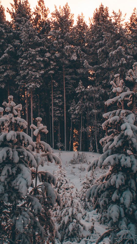 Photograph by Дмитрий Купцов