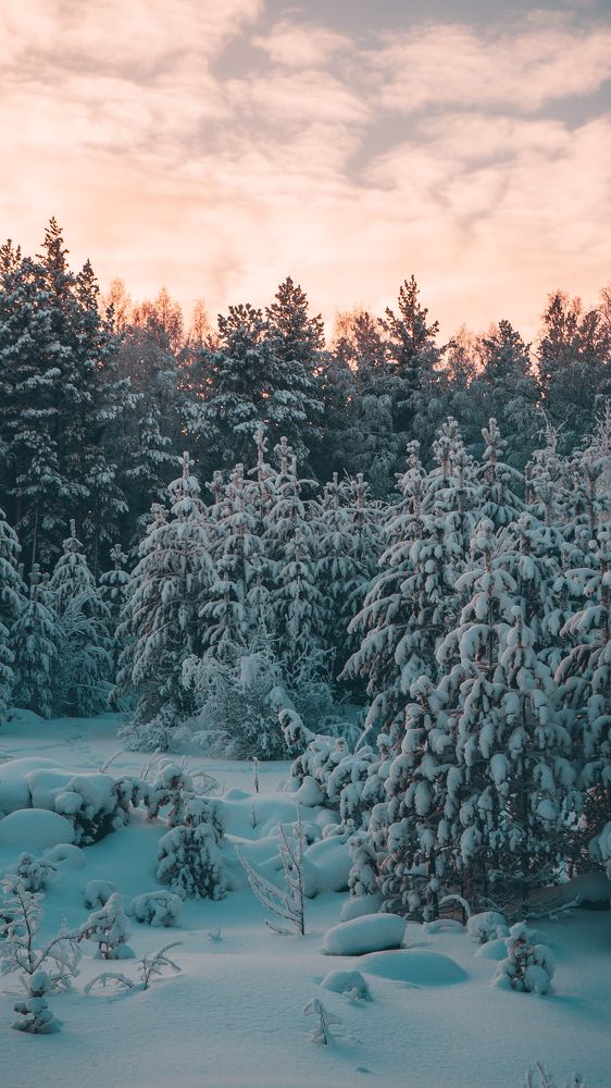 Photograph by Дмитрий Купцов