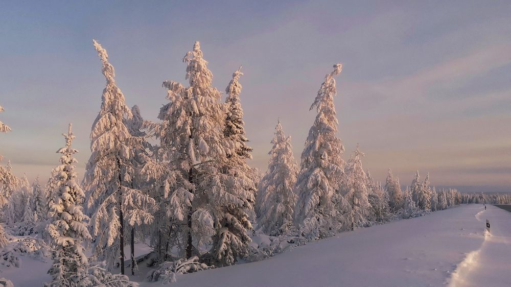 Photograph by Светлана Хамидулина