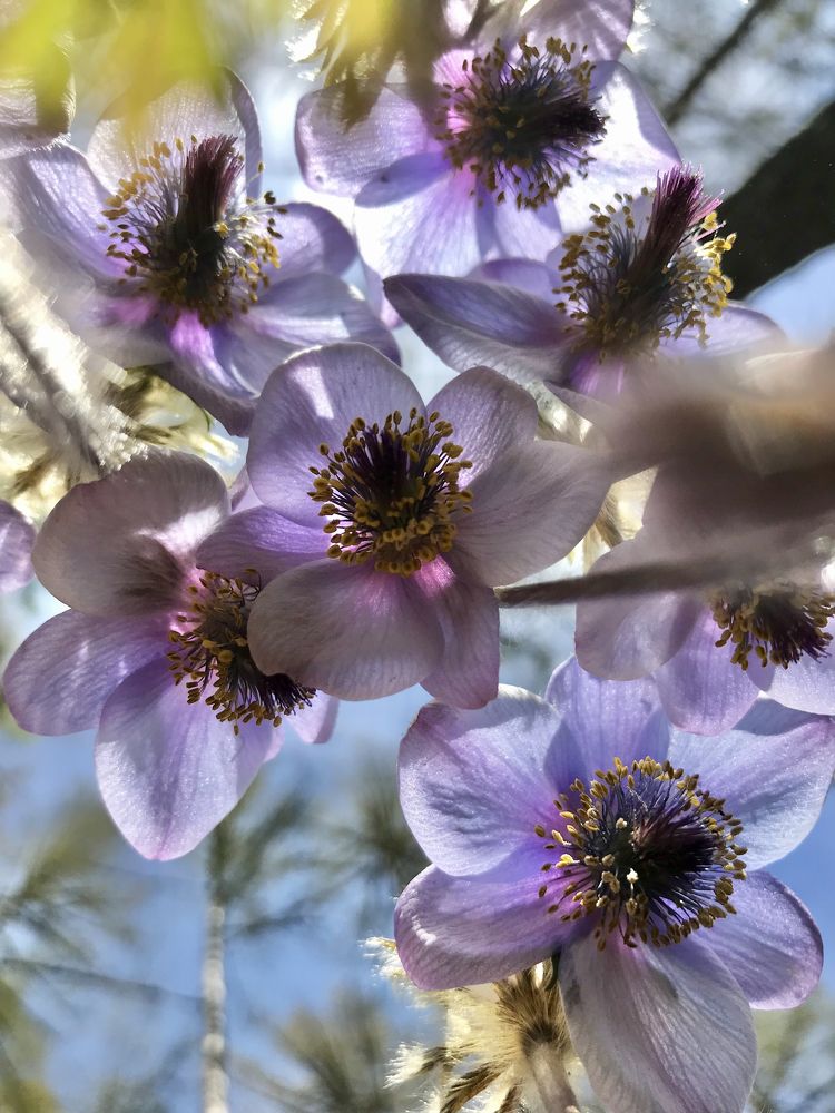 Photograph by Макс Карпович