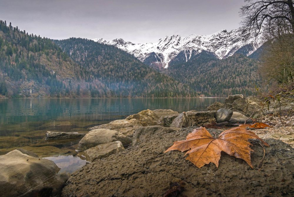 Зимняя Рица.