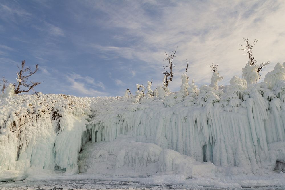 Байкальские сокуи