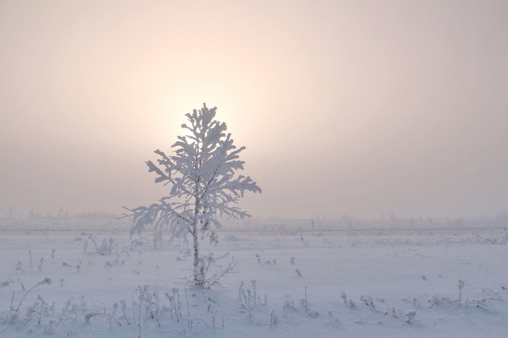 под низким солнцем декабря