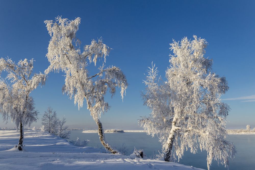 Photograph by Koledova Irina