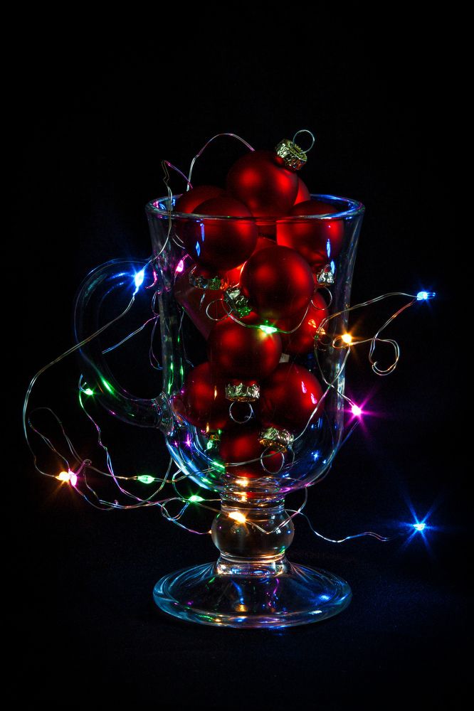 Photograph by Дарья