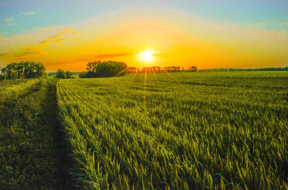 Фотография автора Irina Vornacheva