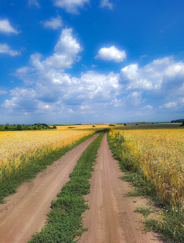 Фотография автора Irina Vornacheva