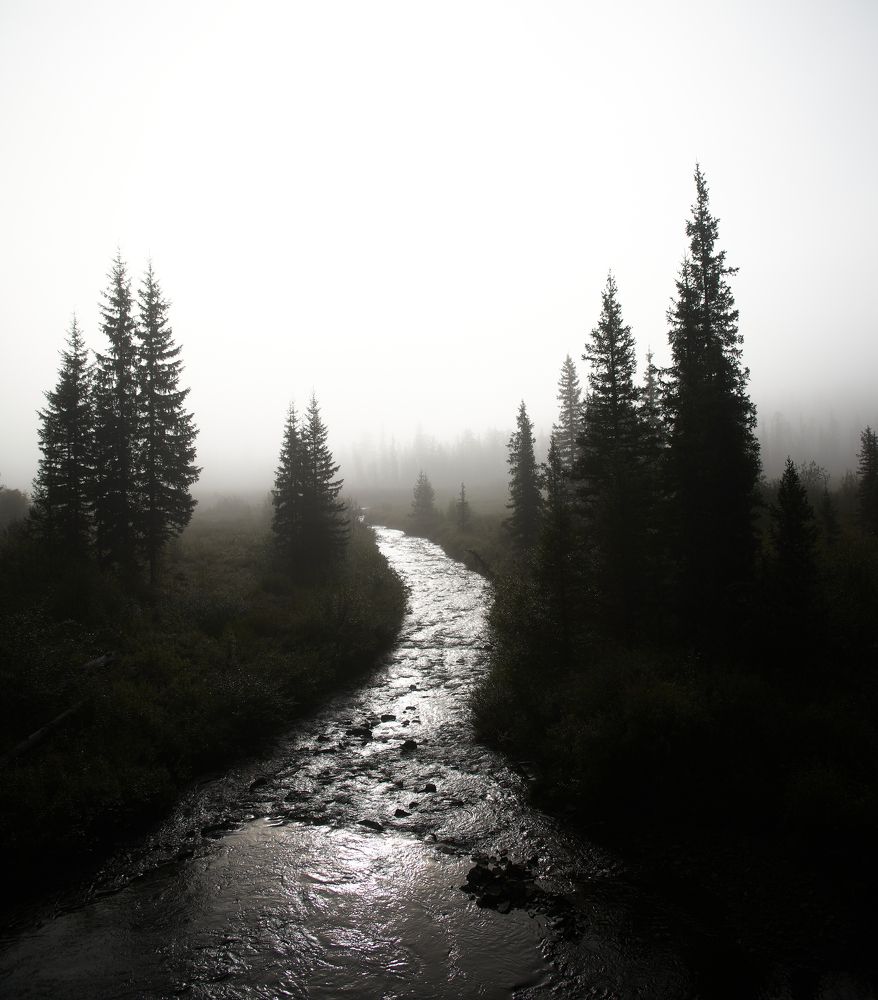 Photograph by Максим Карпович