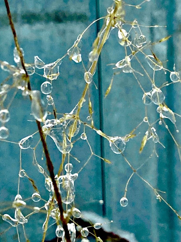 Фотография автора ГУЗАЛИЯ ГАНИЕВА