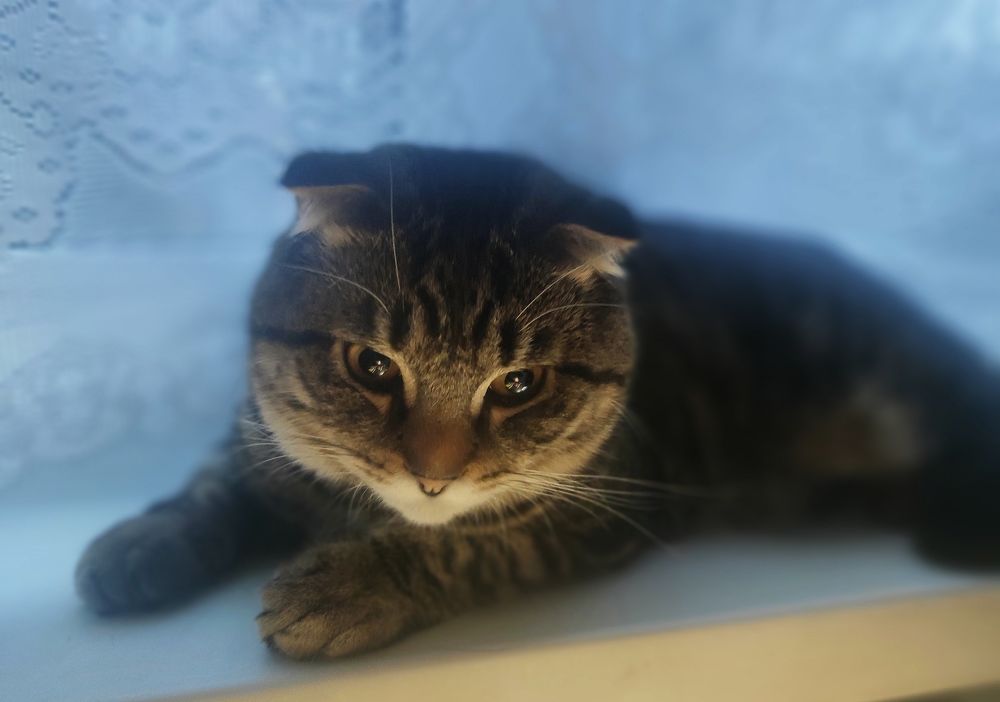 Photograph by Иван