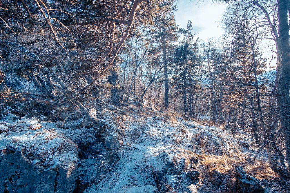 Фотография автора Вадим Коваленко