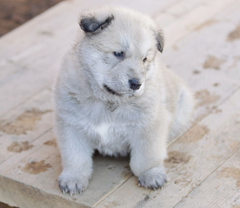 Photograph by Иван