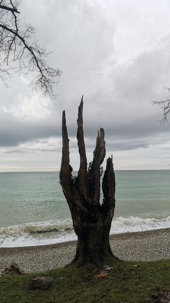 Photograph by Анастасия Бреева