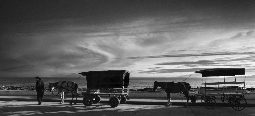 Photograph by Васенков Геннадий