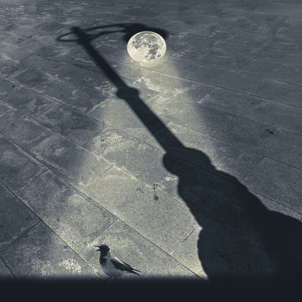 Photograph by Luca Menotti