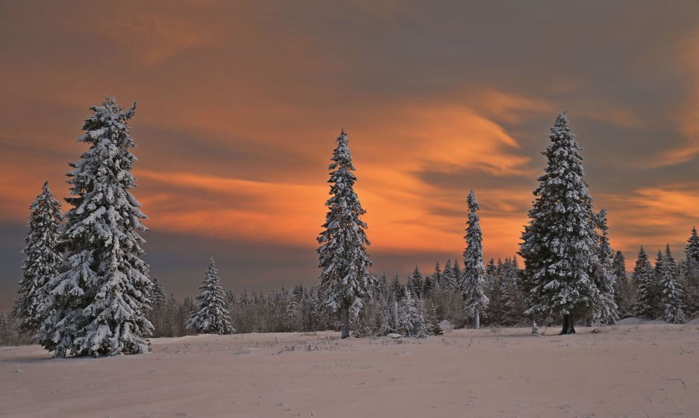 Фотография автора Юрий Кетель