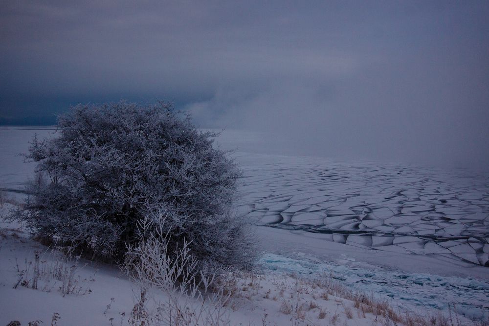 Photograph by Сергей Ларин