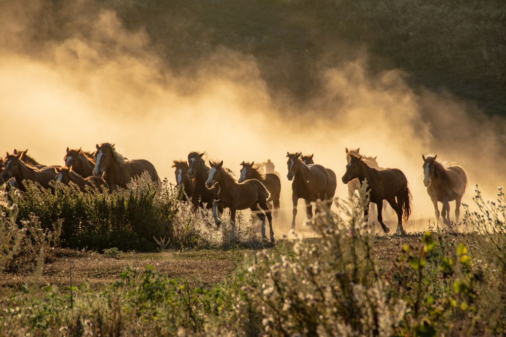 Photograph by Дарымов Владимир