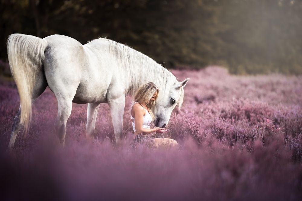 Photograph by Laura Quandt