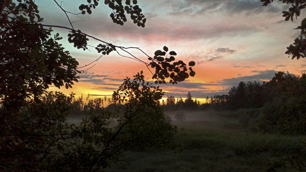 Photograph by Игорь Максимов