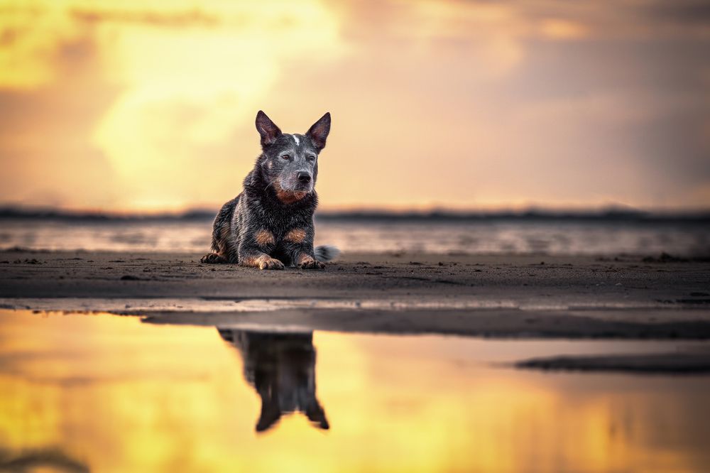 Photograph by Laura Quandt