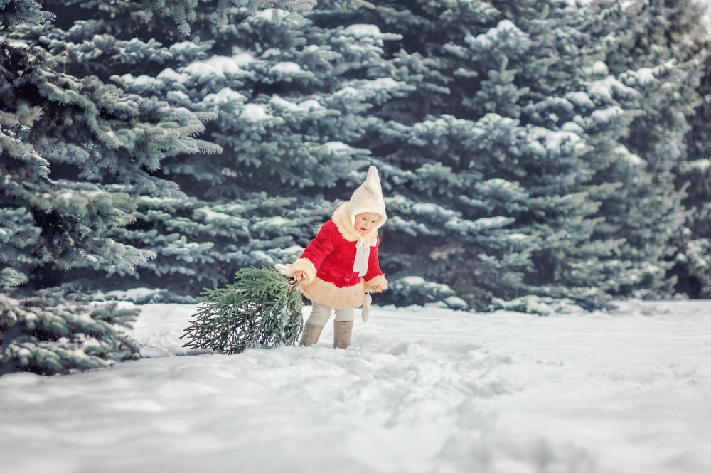 Photograph by Юлия Графова