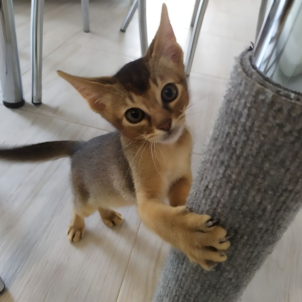 Photograph by Елена Сухорученкова