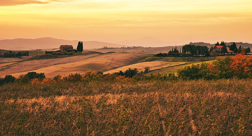 Photograph by Rocco Galati