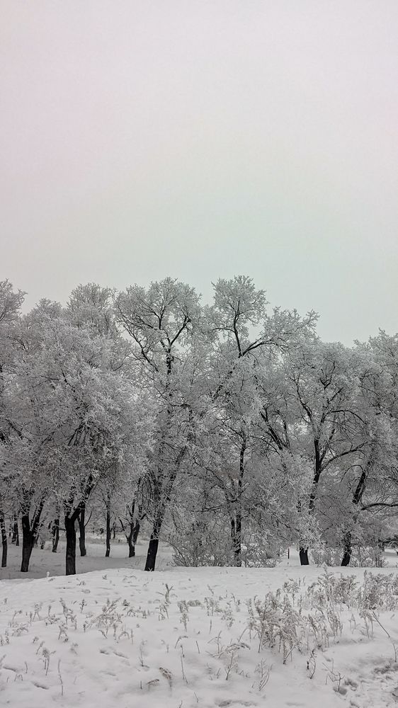 Photograph by Иван Егупов