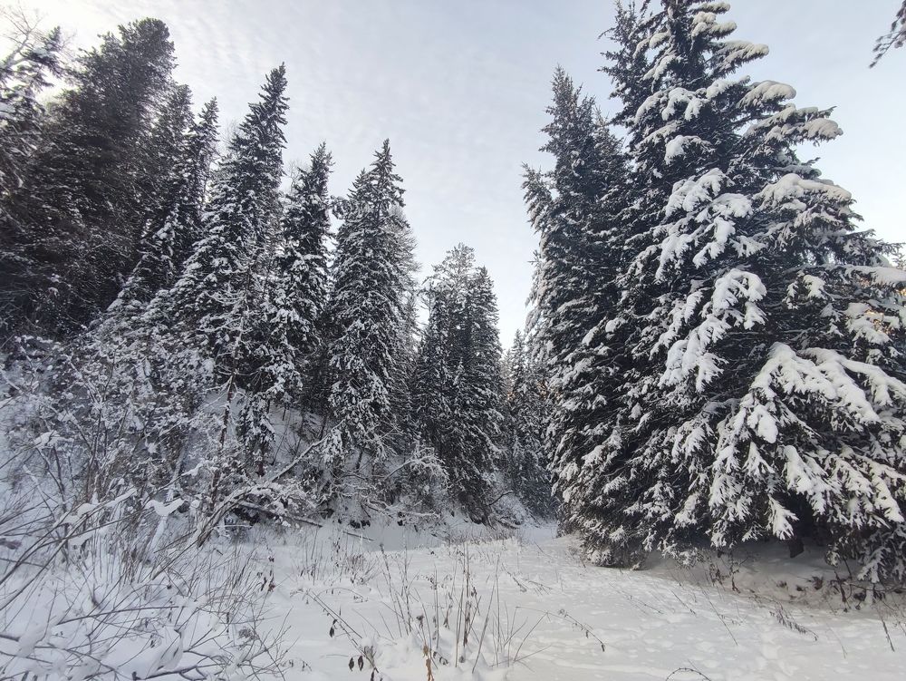 Photograph by Elena Kilina