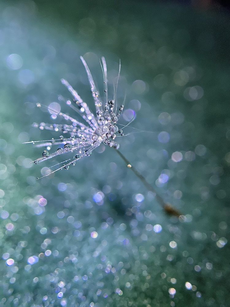 Photograph by Yulia Zhilinskaya