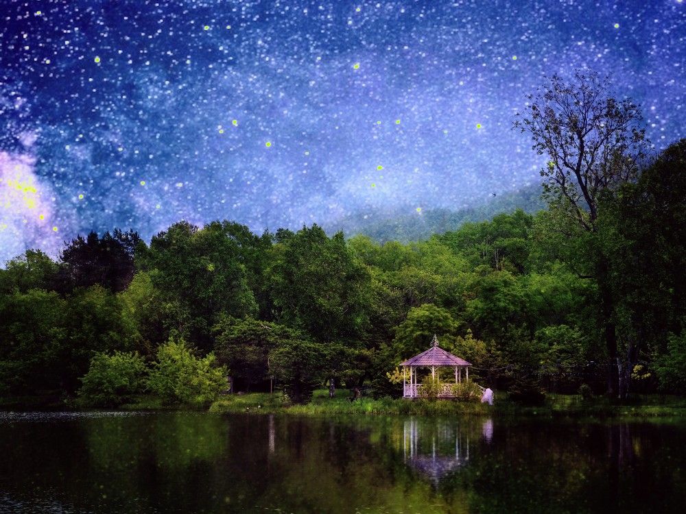 Фотография автора Olena Vorotyntseva