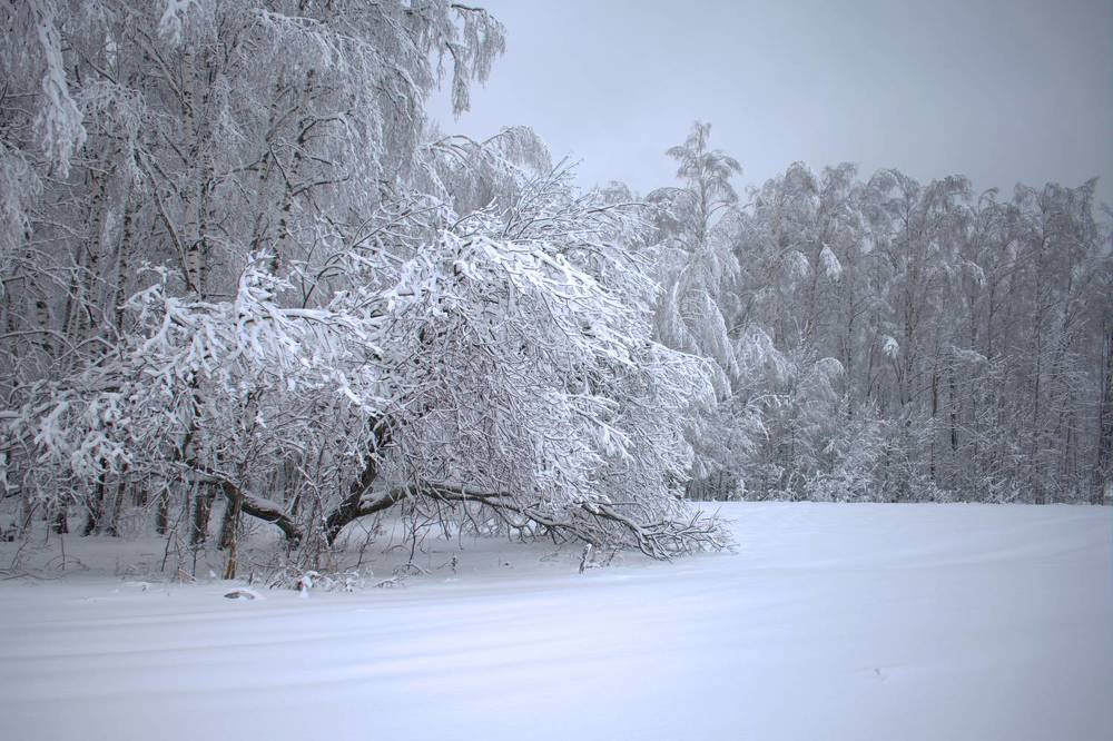 Photograph by Николай Чичерин