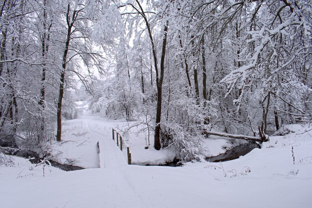 Photograph by Николай Чичерин