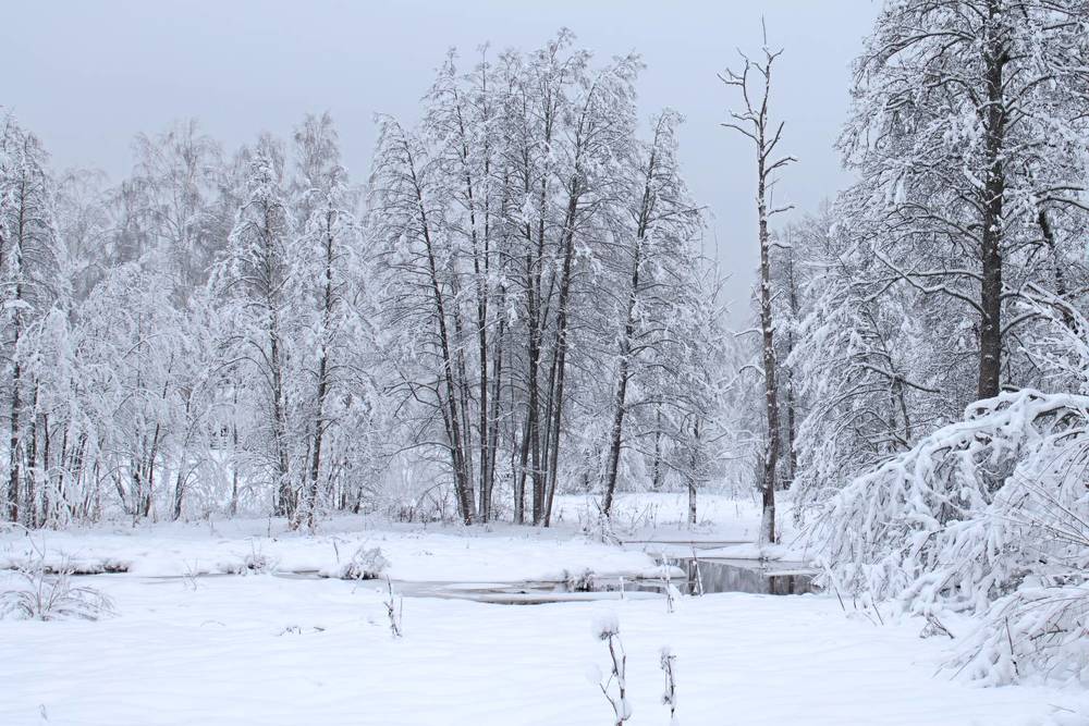 Photograph by Николай Чичерин