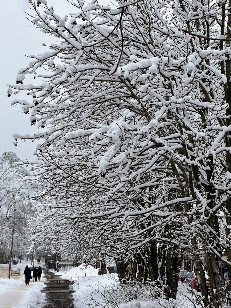 Photograph by Наталья Сережко