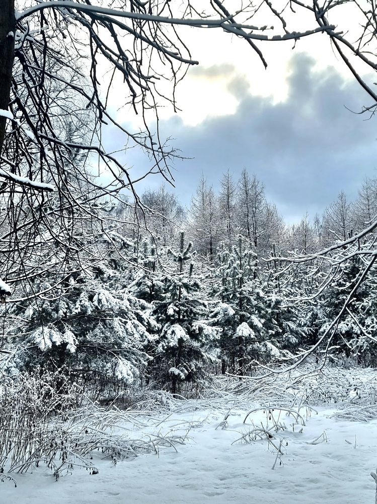 Photograph by Elena Lukashina