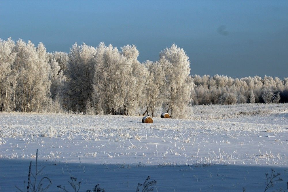 Photograph by Галина Мазур
