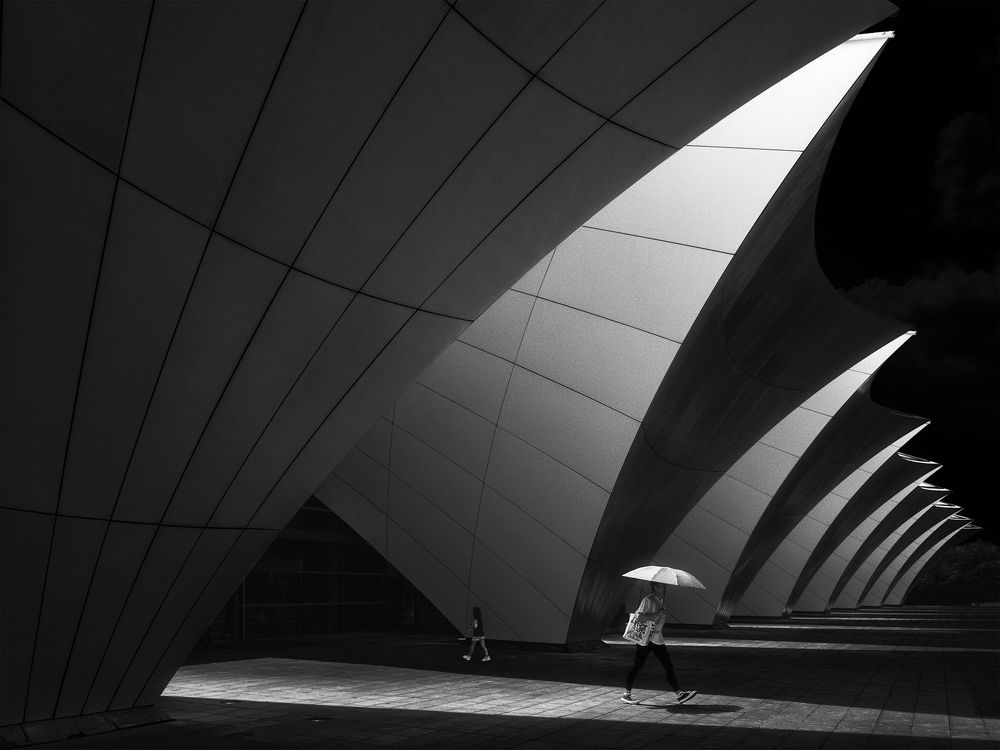 Photograph by Zhenhuan Zhou