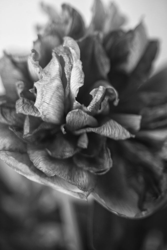 Photograph by Владимир Леликов-Кузьменко