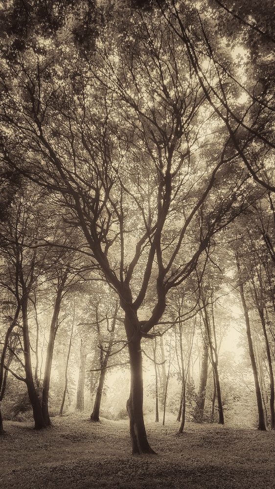 Photograph by Владимир Леликов-Кузьменко