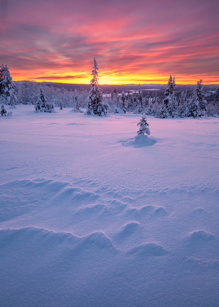 Фотография автора Егор Бушмакин