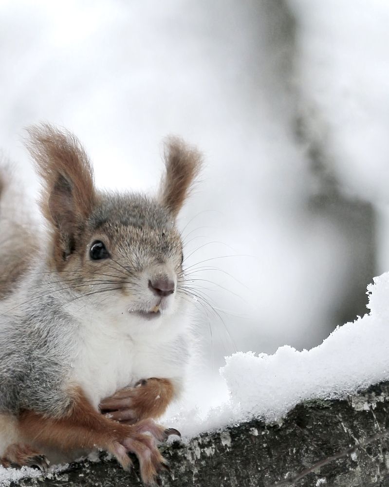 Photograph by Александр Затямин