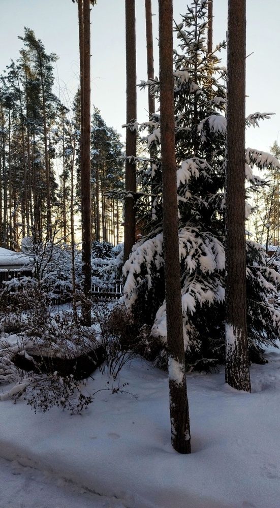 Photograph by Ольга Терскова
