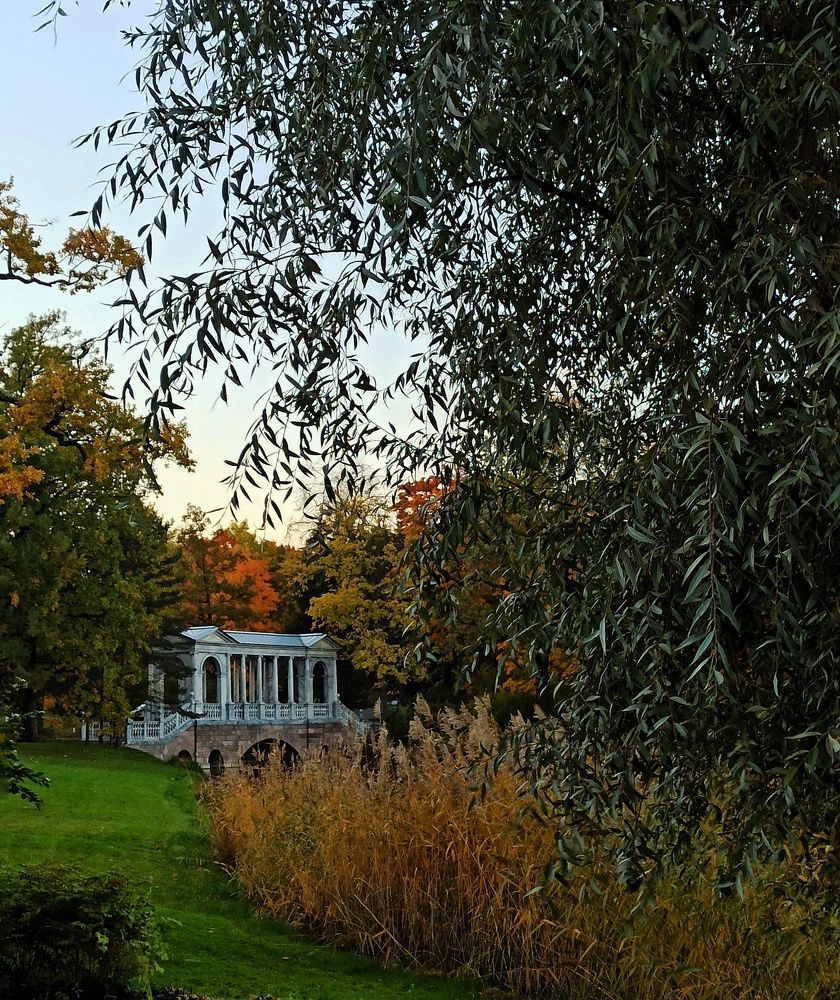 Photograph by Ольга Терскова