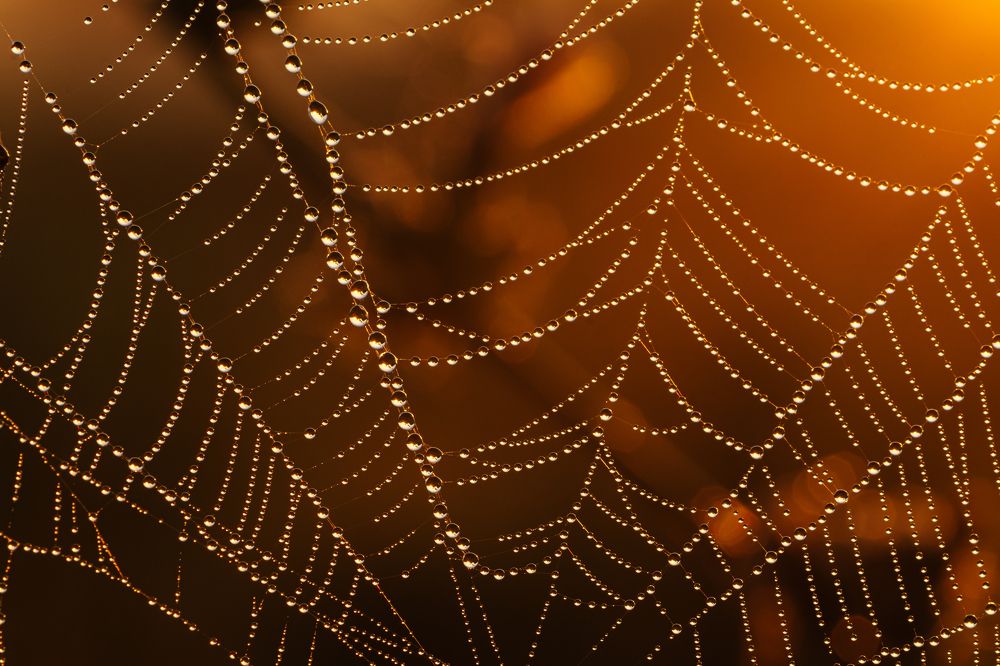 Фотография автора Зайцев Роман